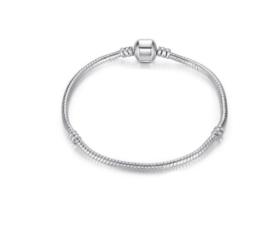 Silver Snake Chain Bracelet