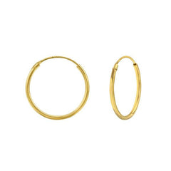 Silver Gold Hoop Earrings
