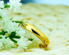 Tungsten Gold Wedding Ring for Women