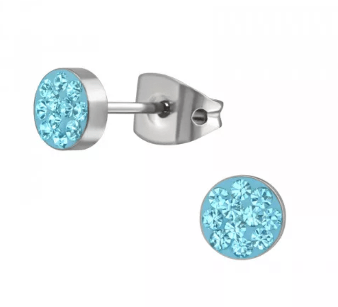 Titanium Round Stud Earrings
