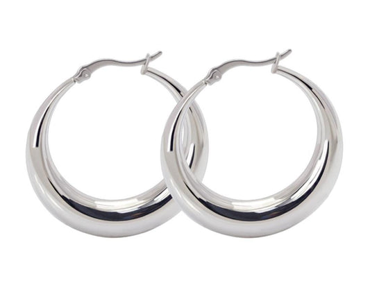 Stainless Steel Hoop Earrings