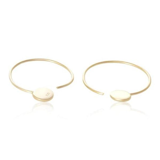 Silver Gold Ear Wires Earrings