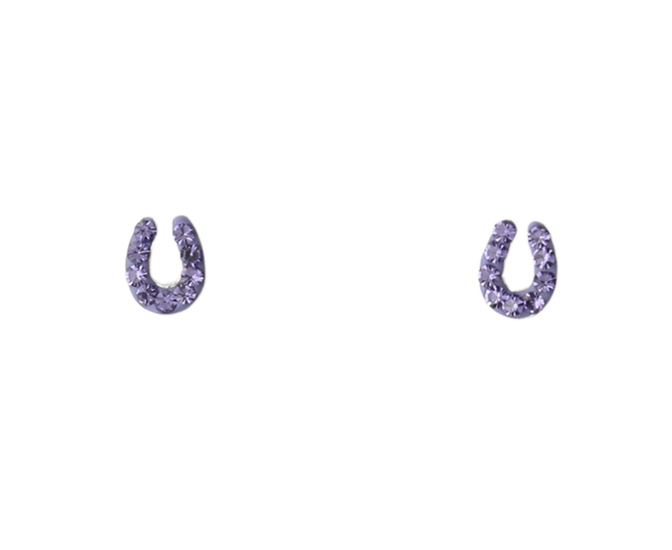 Children's Silver Horseshoe Crystal Earring Set