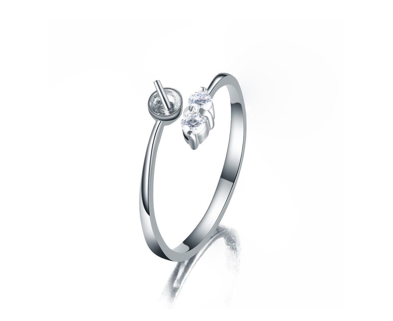 Ring Mounting Accessory