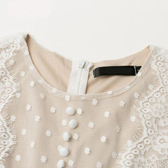 Vintage Lace Mesh White Polka Dot Dress