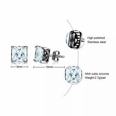 Steel Cubic Zirconia Stud Earrings