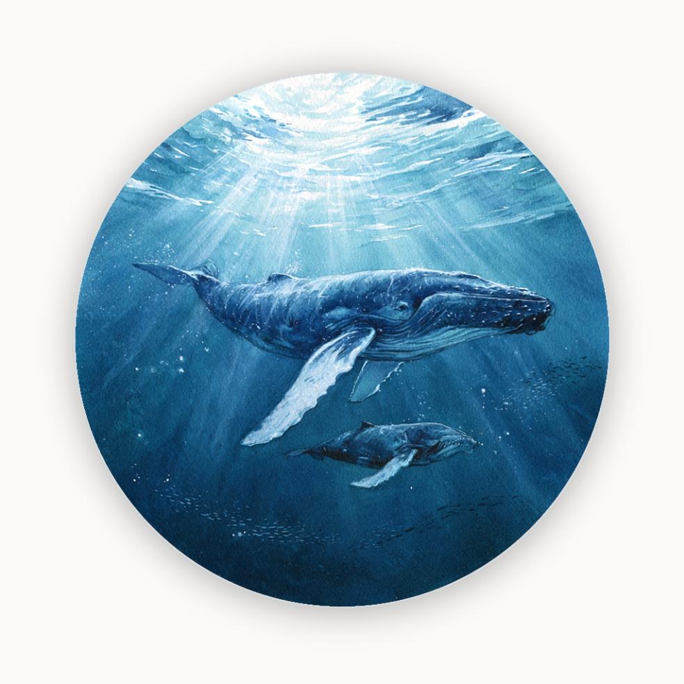 Ocean Giants Humpback Whales Wall Plate