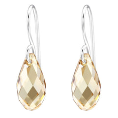 Silver Teardrop Earrings