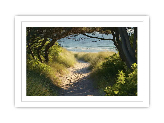 Beach Path Framed Print