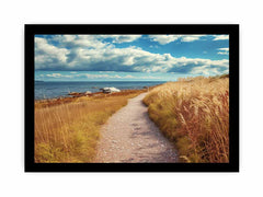 Beach Path Framed Print