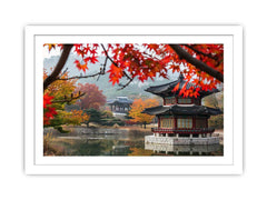 South Korea Framed Print