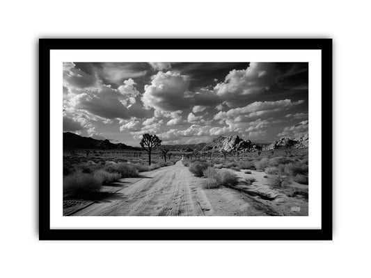 Tree Road Framed Print