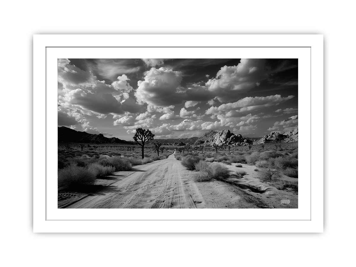 Tree Road Framed Print