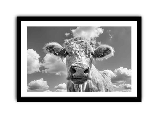 Highland cow Framed Print