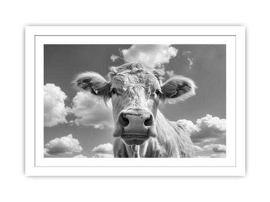 Highland cow Framed Print