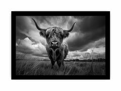 Highland cow print