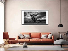 Highland cow print