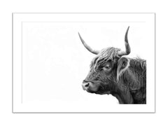 Cow Framed Print