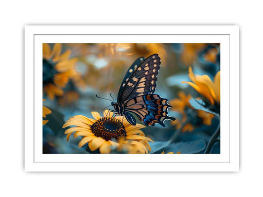 Sunflower Butterfly Framed Print