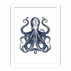 Blue Cctopus Framed Print