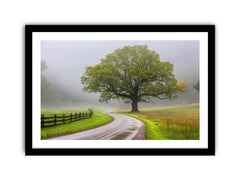 Foggy Road Framed Print