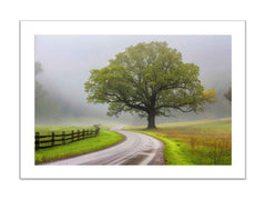 Foggy Road Framed Print