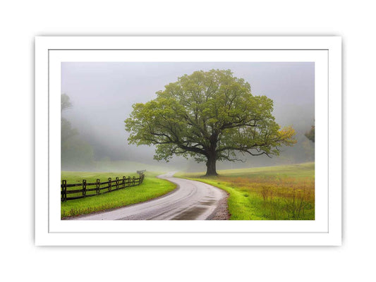 Foggy Road Framed Print