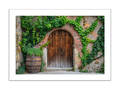 Wooden Door Framed Print