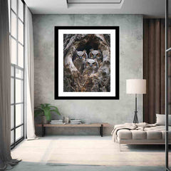 baby owls Framed Print