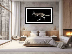 Kangaroo