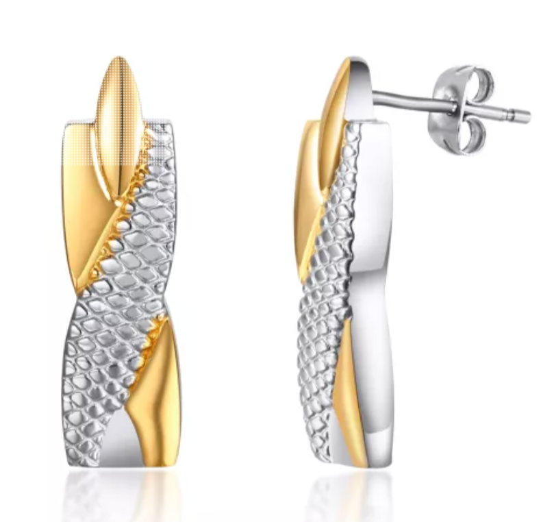 Titanium Earrings