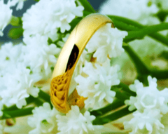 Tungsten Gold Wedding Ring for Women