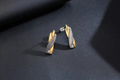 Titanium Earrings