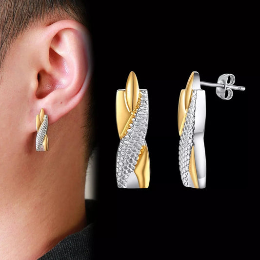 Titanium Earrings