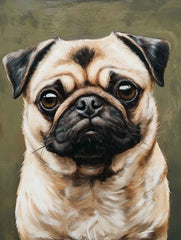 Pug Dog  Poster