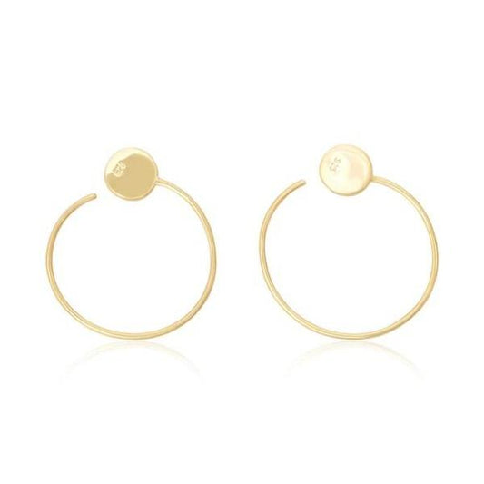Silver Gold Ear Wires Earrings