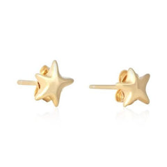 Silver  Star Earrings