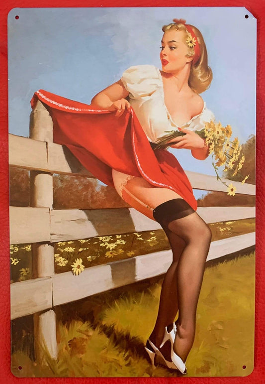Lady on the Fence Metal TIn Sign Poster