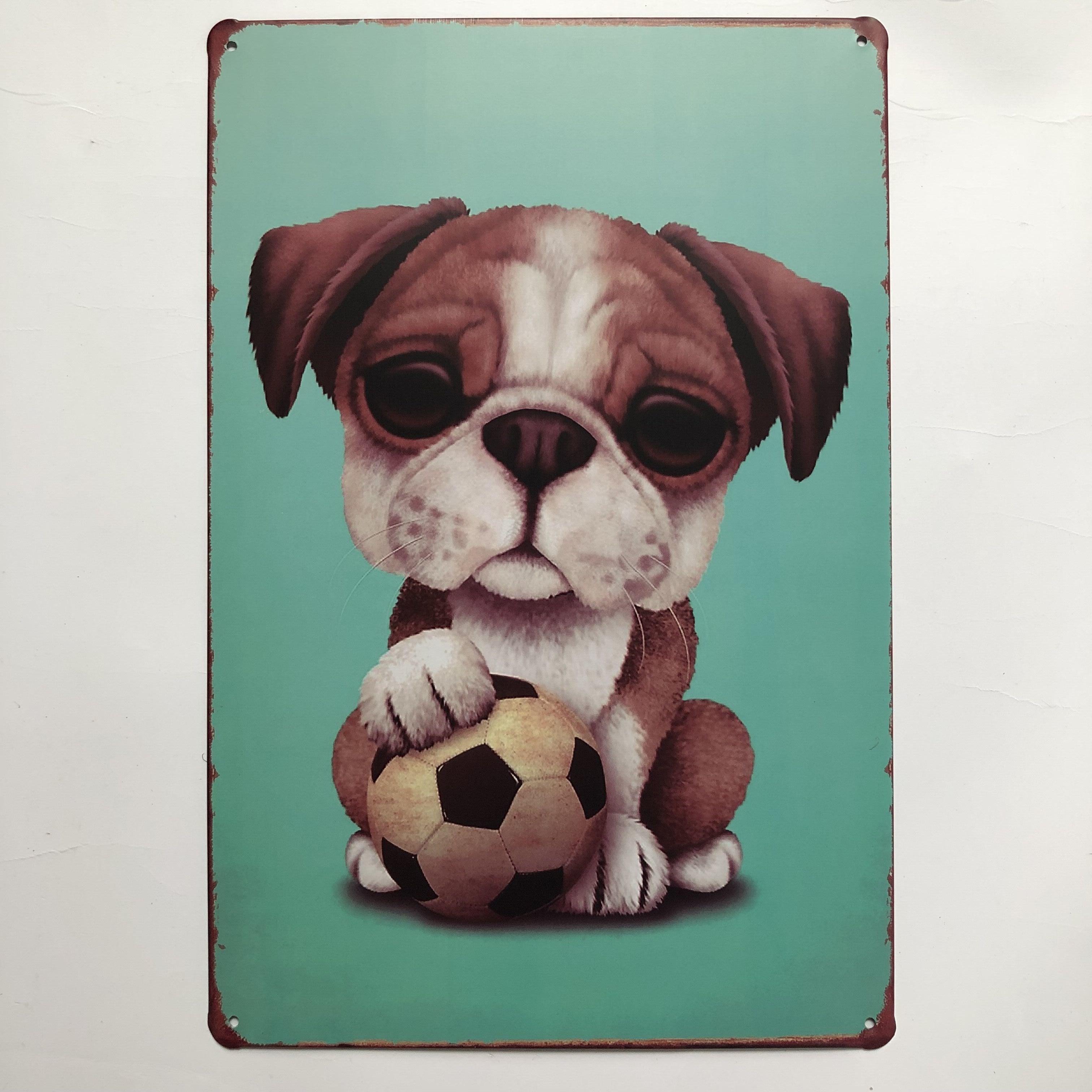 Cute Cat with Football  Poster