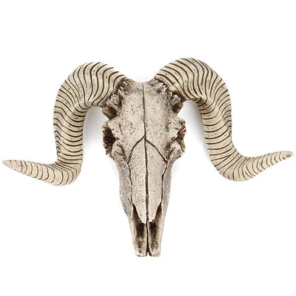 Desert Skull Sculpture