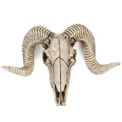Desert Skull Sculpture