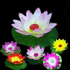 5 pcs  Lotus  Flower Floating  Candles
